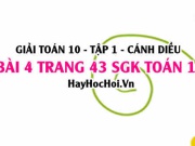Giải bài 4 trang 43 Toán 10 Tập 1 SGK Cánh Diều